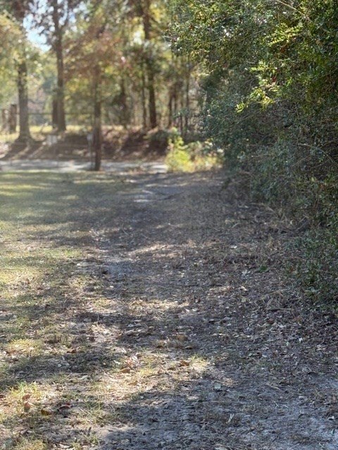 Picture 29