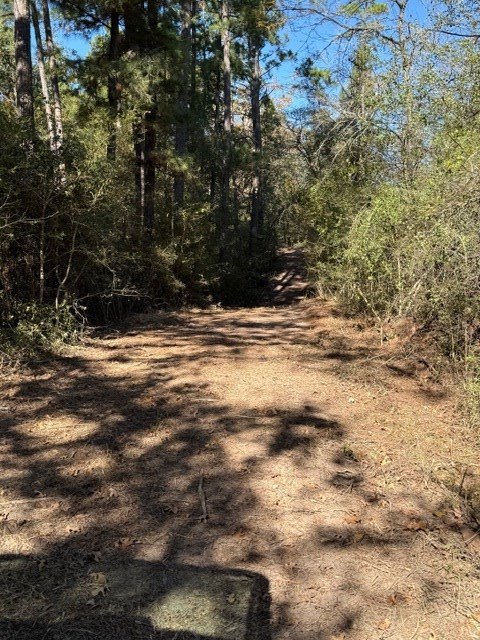 Picture 19