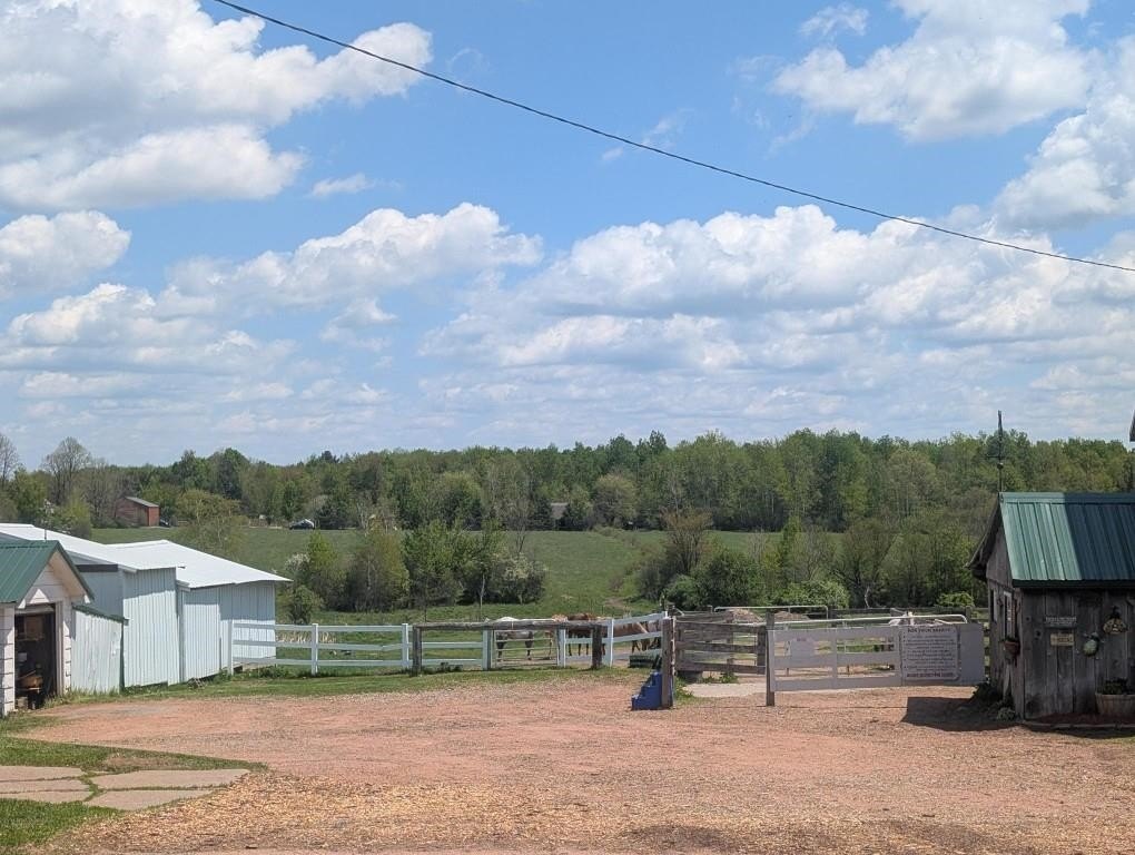 Picture 8