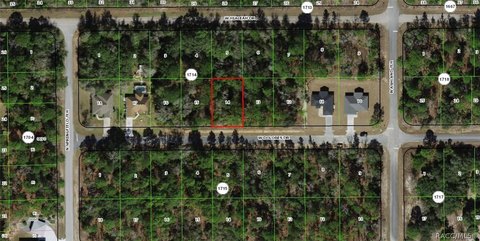 LAND - Citrus Springs, FL