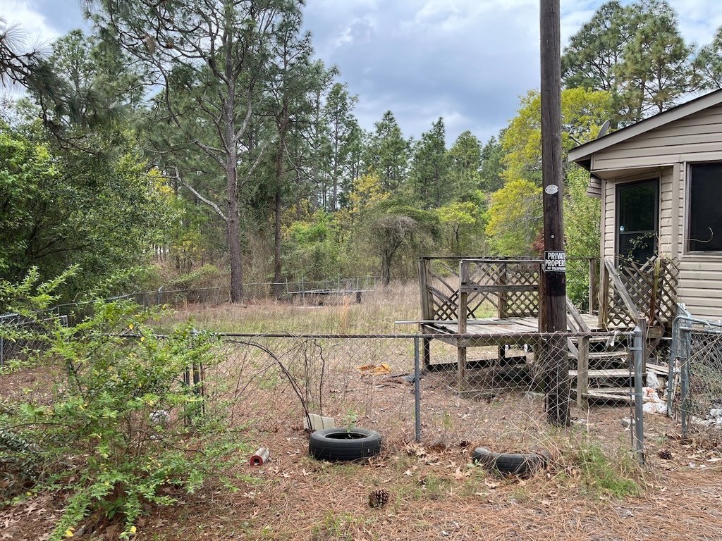 Picture 6
