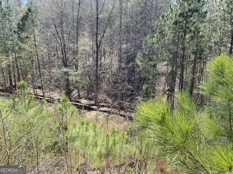 Residential Land in Canton, Georgia