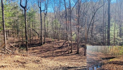 Creek-Side Lot with Septic System