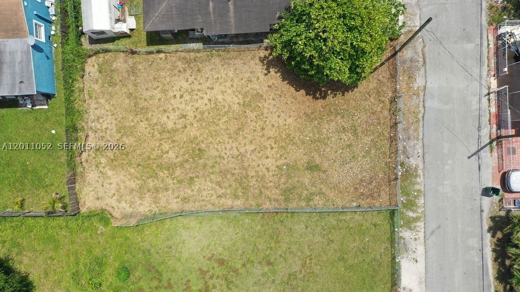 Picture 5