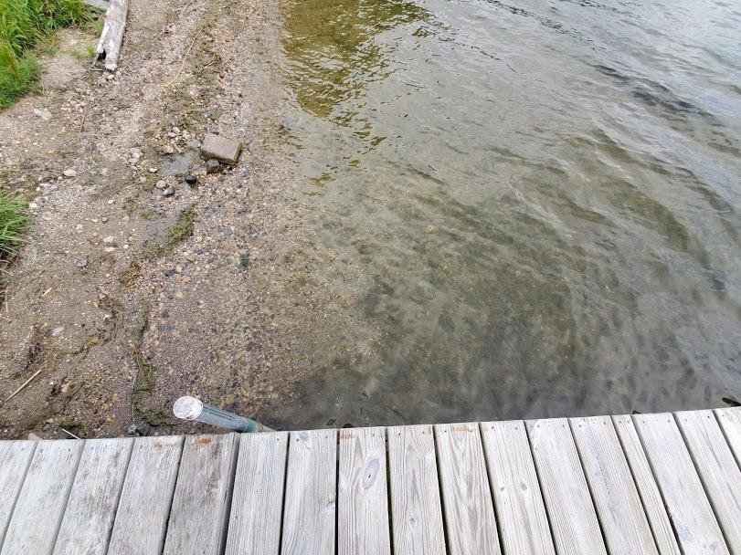 Picture 8