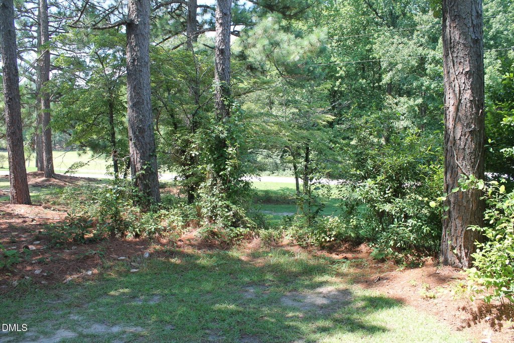Picture 3