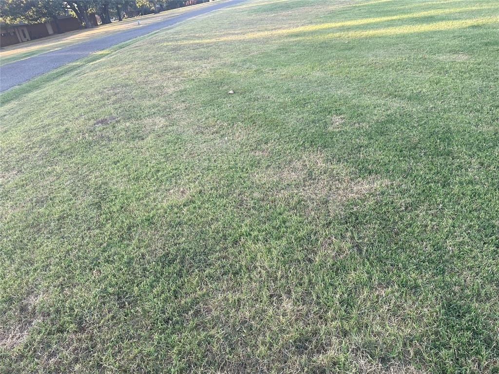 Picture 8