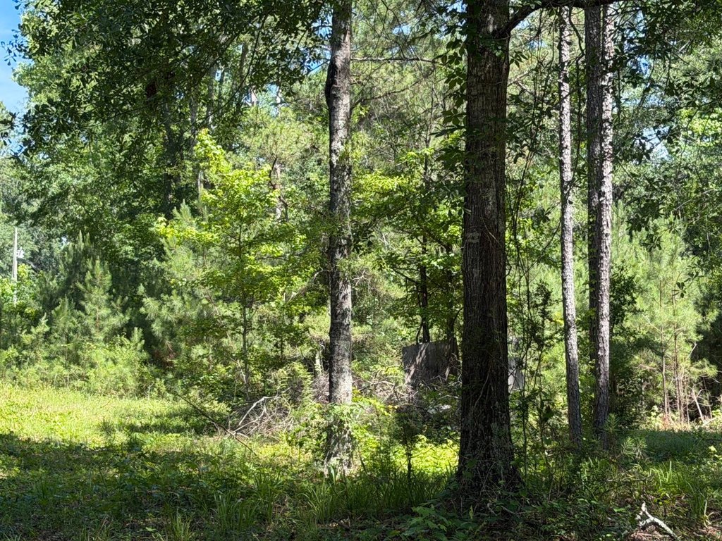 Picture 6