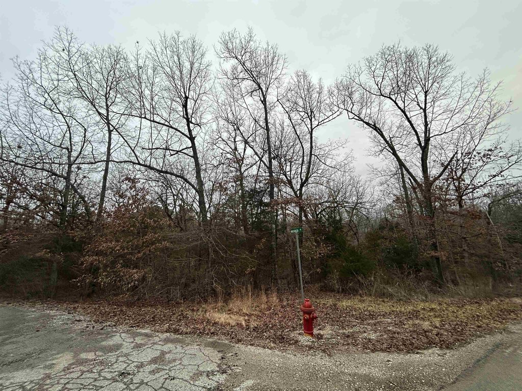 Picture 3