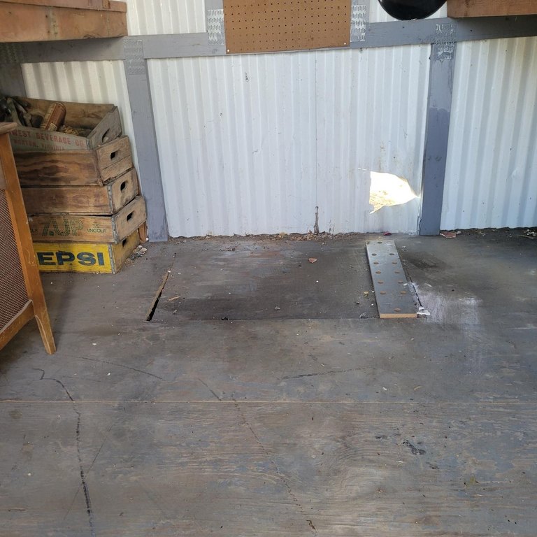 Picture 13