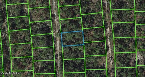 Residential Land in Lake Placid