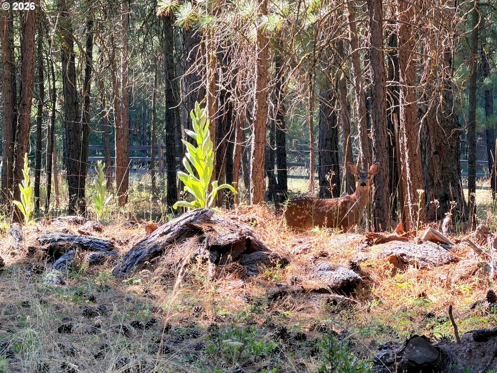 Picture 28