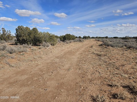 Snowflake, AZ Off-Grid Land