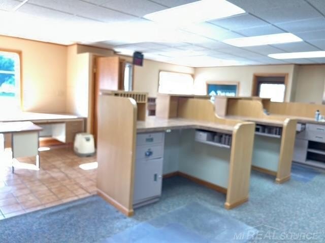 Picture 6