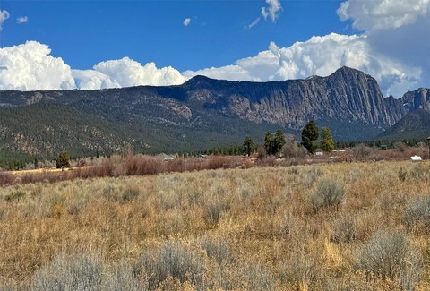 Versatile Land Parcel with Water Rights