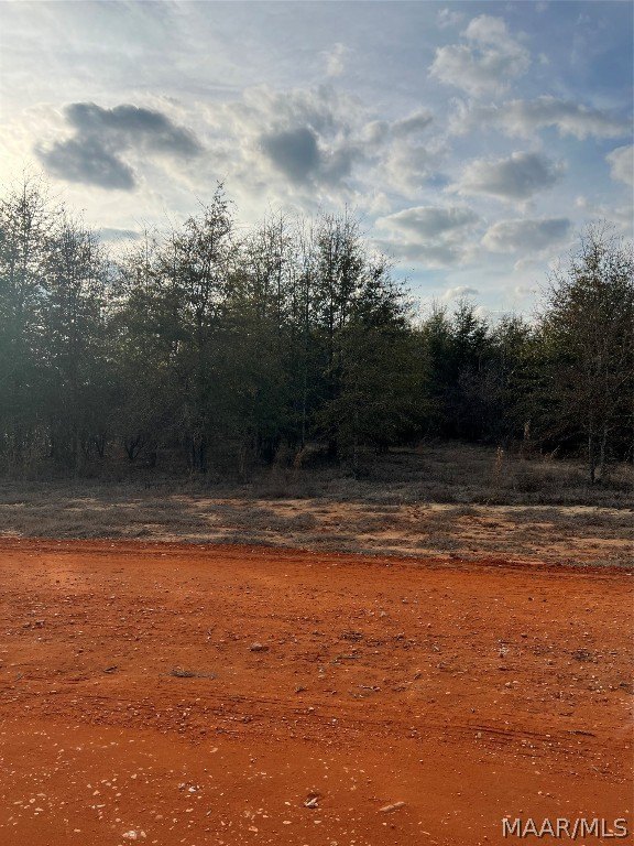 Land in Miller's Ferry Area