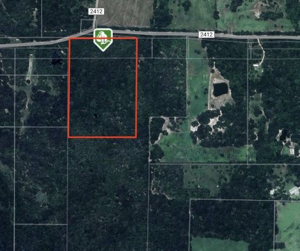 Heavily Wooded Unrestricted Land