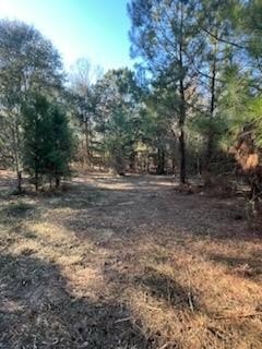 Residential Land in Georgetown, GA