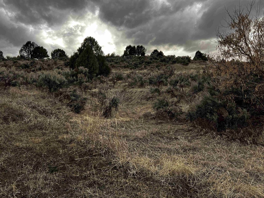 Picture 22