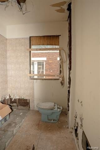 Picture 24