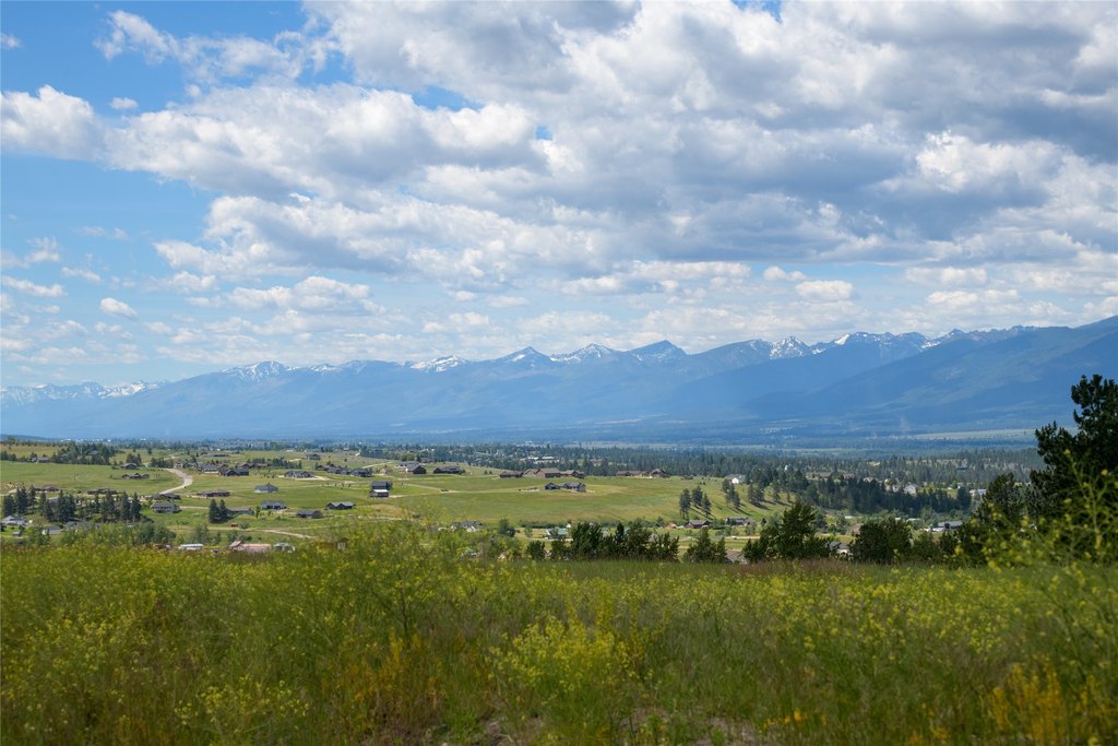 Picture 19