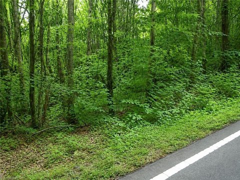 Land, Danbury, NC