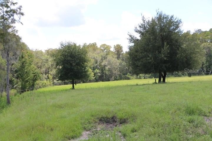 Picture 56
