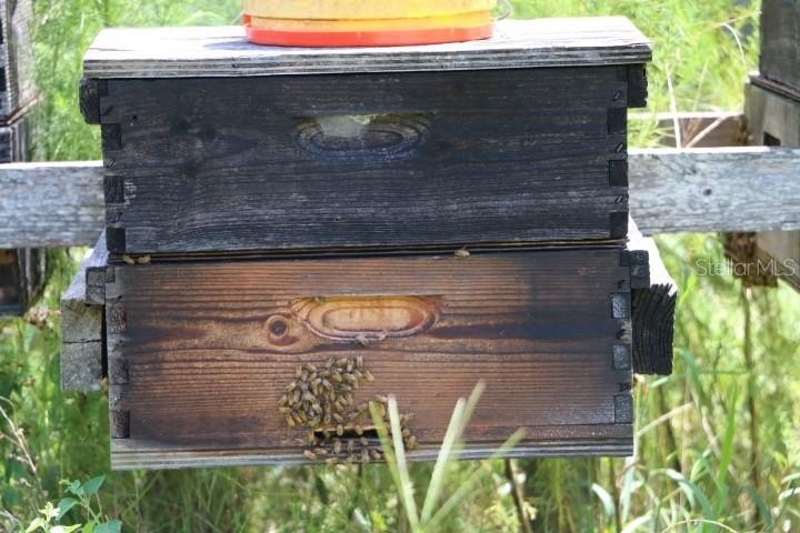 Picture 43
