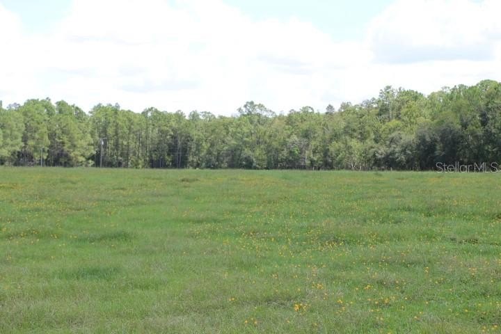 Picture 39