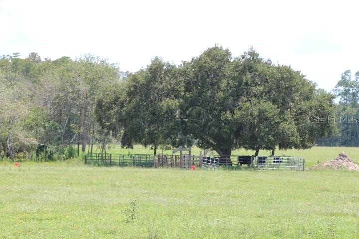 Picture 25