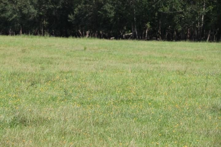 Picture 28