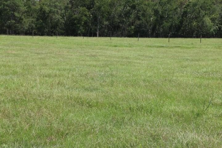 Picture 19
