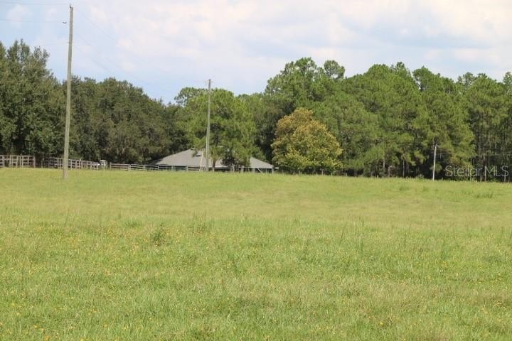 Picture 30