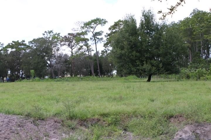 Picture 53