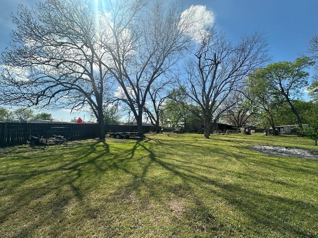 Picture 4