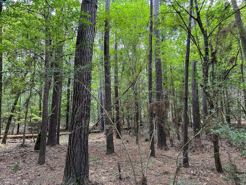 Picture 19