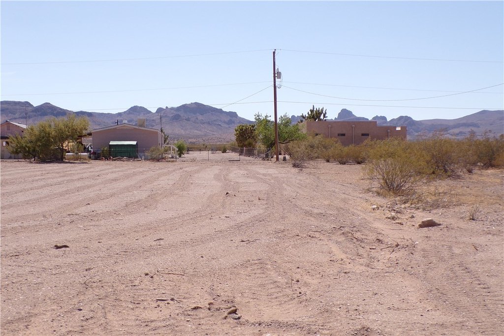 Picture 6