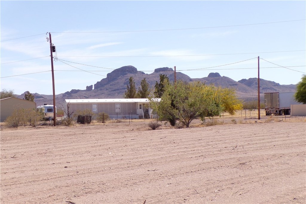Picture 12