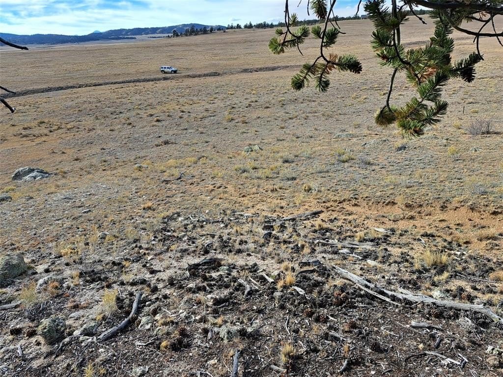 Picture 16