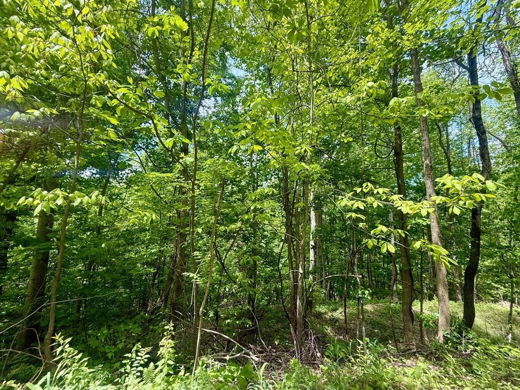 Picture 22