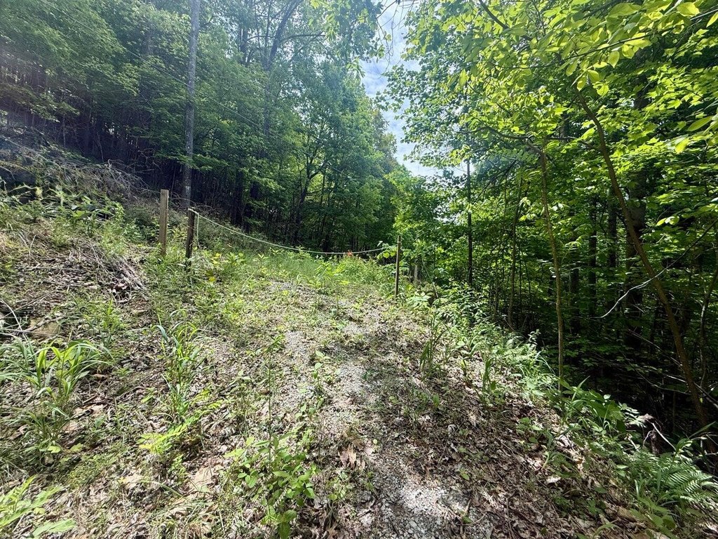 Picture 25