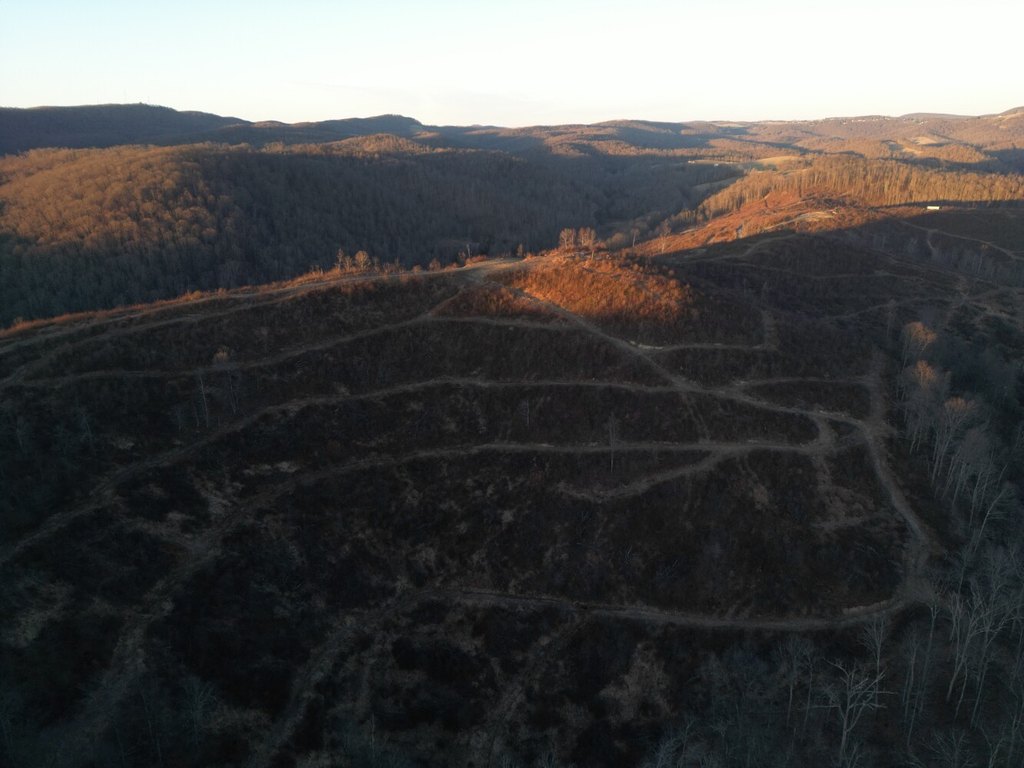 Picture 3