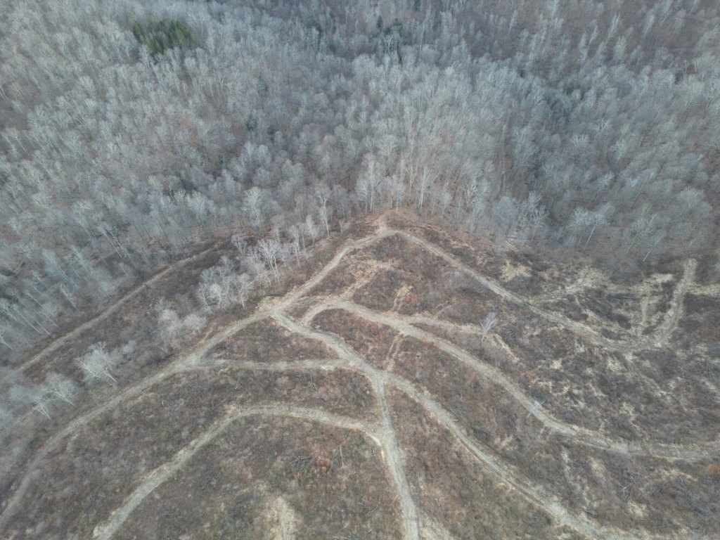 Picture 4