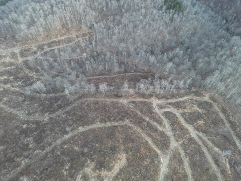Picture 18