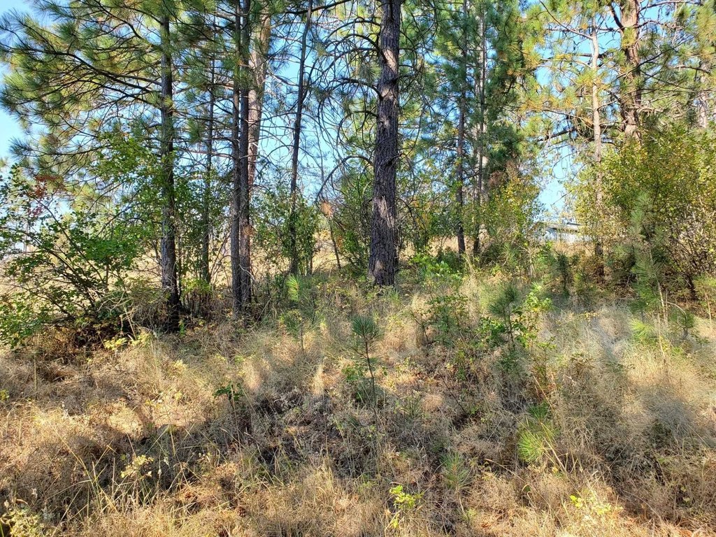 Picture 19