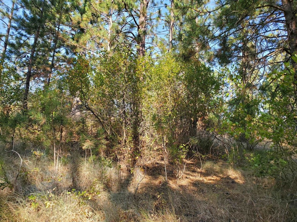Picture 12