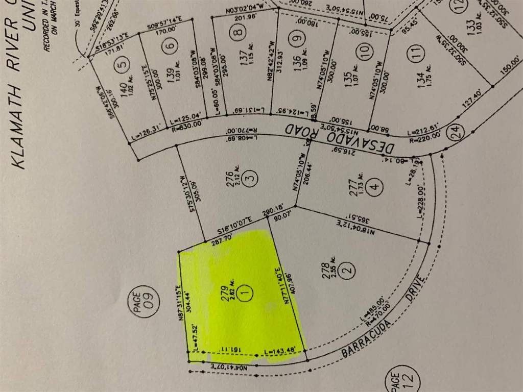Picture 7