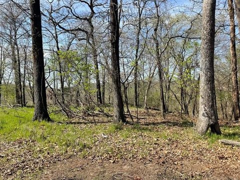 LAND - Park Hill, OK