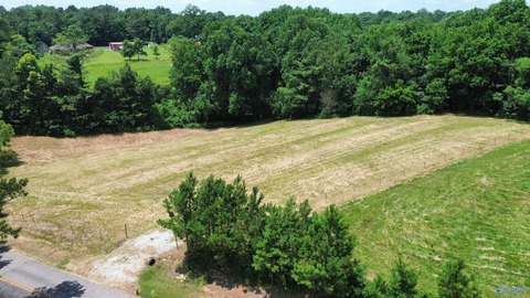 LAND - Elkmont, AL