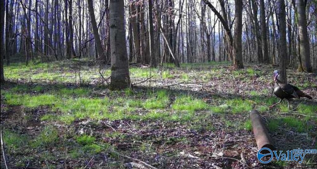 Picture 17